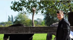 Struisvogelboerderij bezoeken