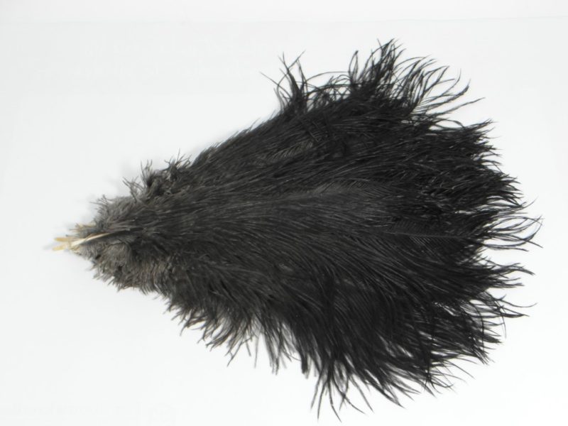 Zwarte struisvogelveer